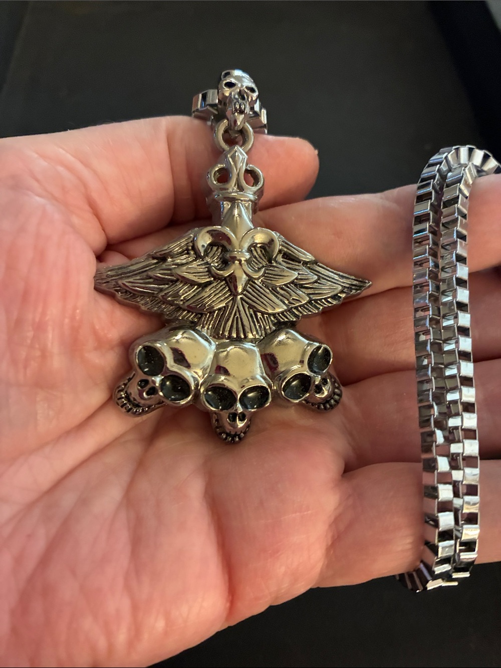 Winged Skull Pendant Necklace.  NWOT